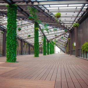 Deck interior y exterior