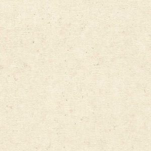 Empapelado vinílico Concrete