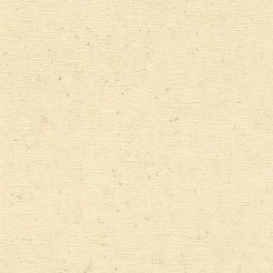 Empapelado vinílico Concrete