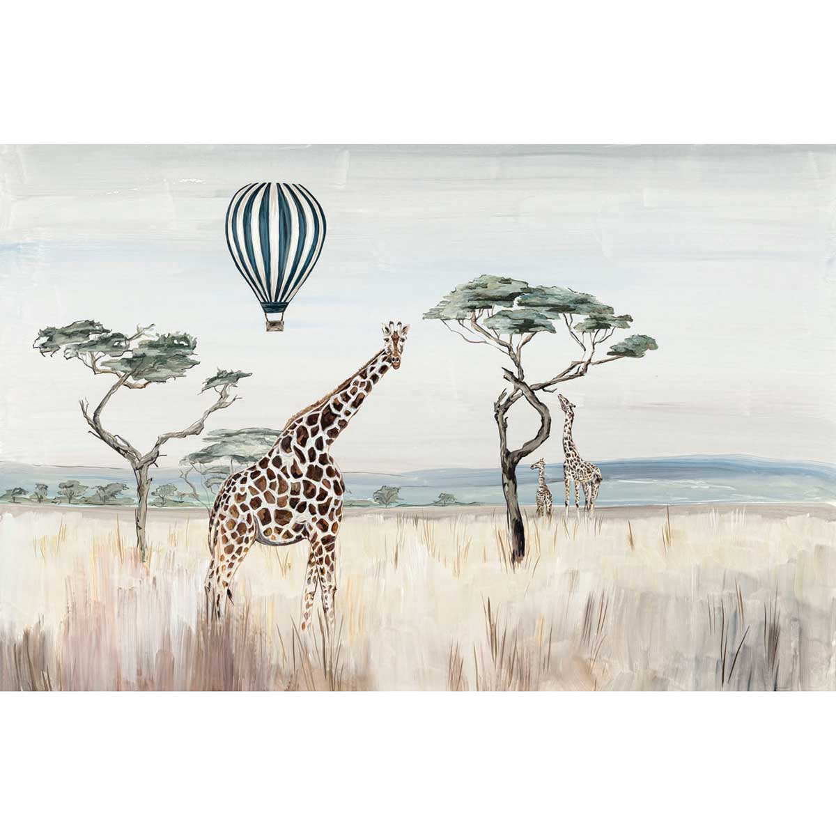 AFRICA MFP000560